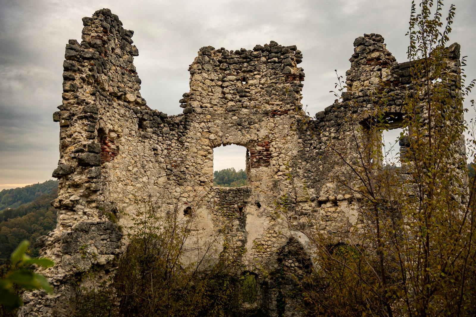 Cetatea Crăciuna, ruină medievală pe deal cu vegetație rară