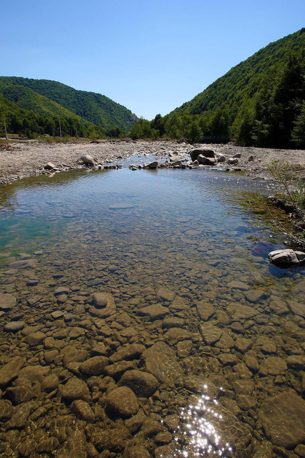 Lacul Lepșa, oglindă de apă în pădure de fag, ceața dimineții