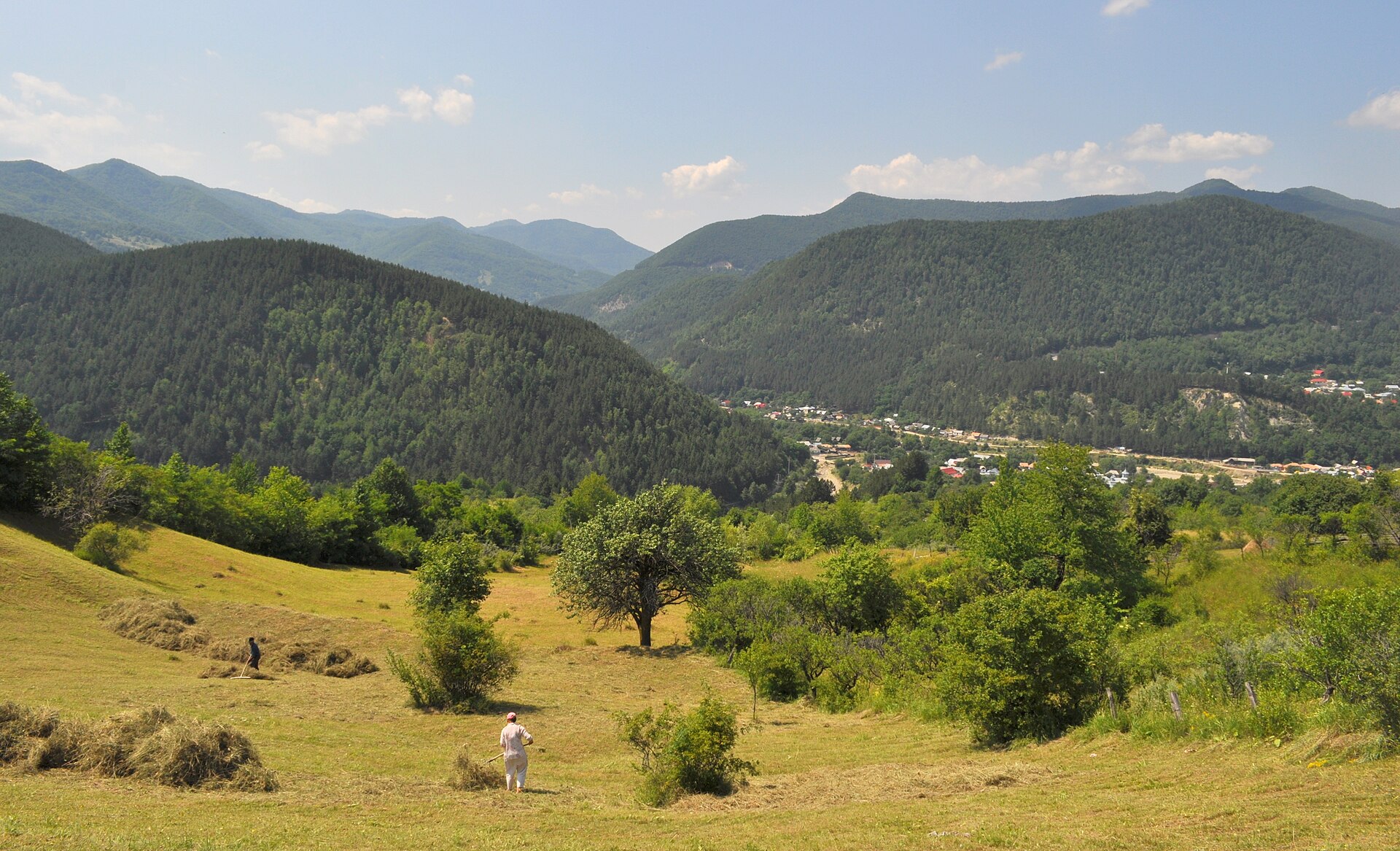 Pensiune tradițională în Soveja, prispă cu mușcate roșii